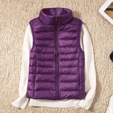 Farbe: Lila