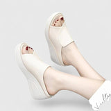 Farbe: Beige