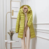 Farbe: Gelb