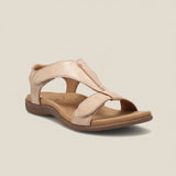 Farbe: Beige