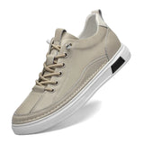 Farbe: Beige