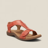 Farbe: Orange