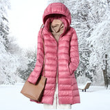 Farbe: Rosa