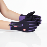 Farbe: Lila