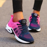 Farbe: Blau / Rosa