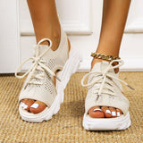 Farbe: Beige