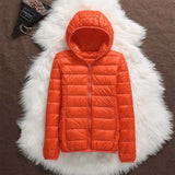 Farbe: Orange