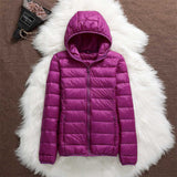 Farbe: Lila