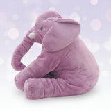 Farbe: Lila